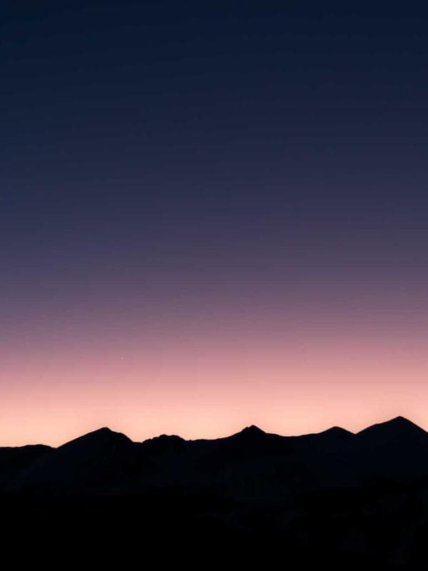 Tuberose Night - Thumbnail 3